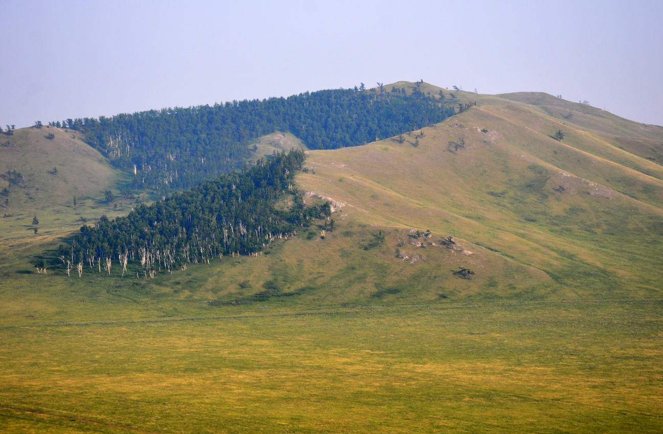 Озеро Шунет, изображение ландшафта.