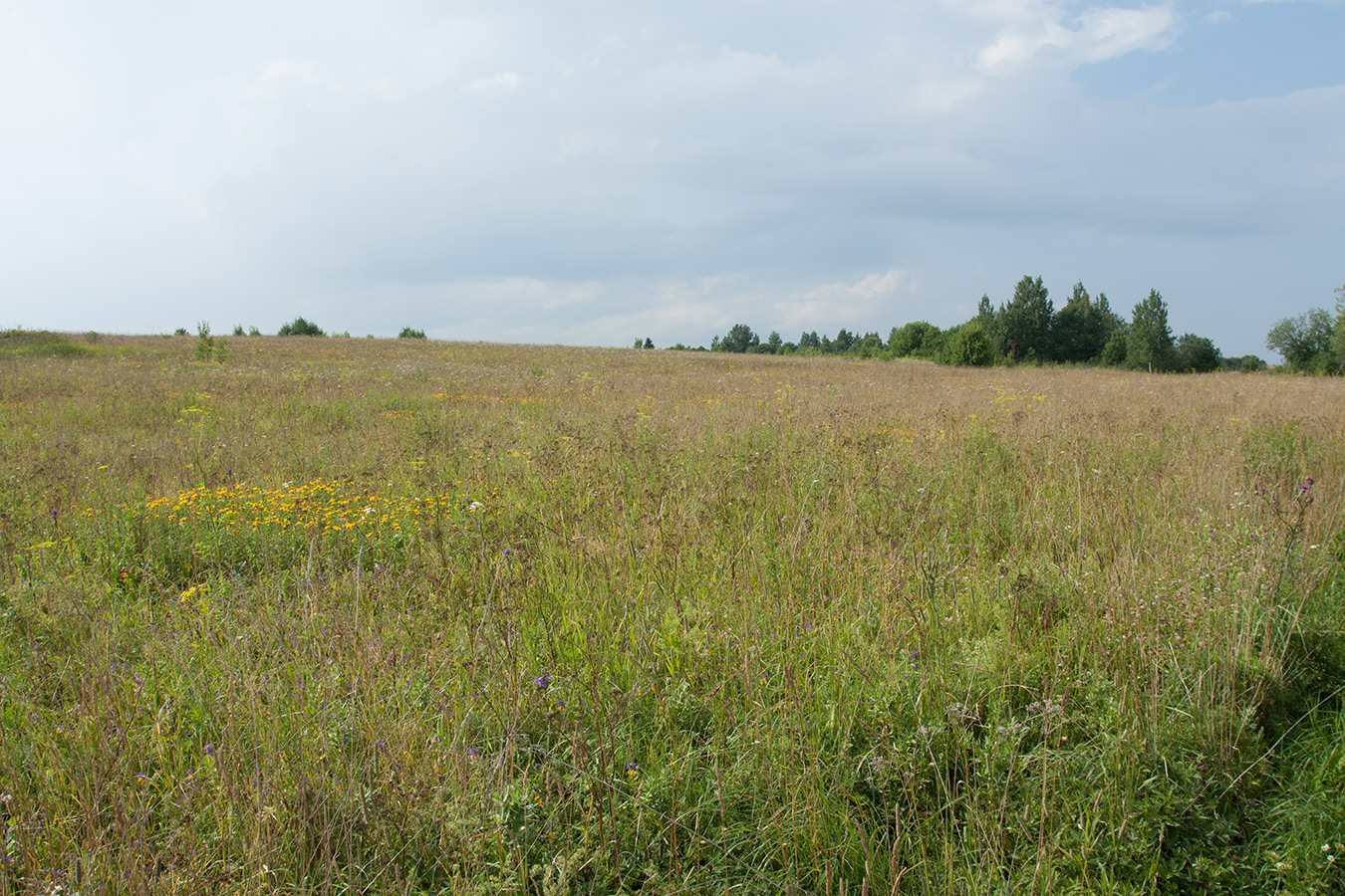 Окрестности Глядино, image of landscape/habitat.