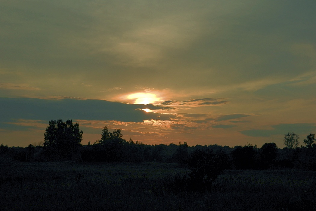 Жарь, image of landscape/habitat.