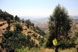 Image of landscape