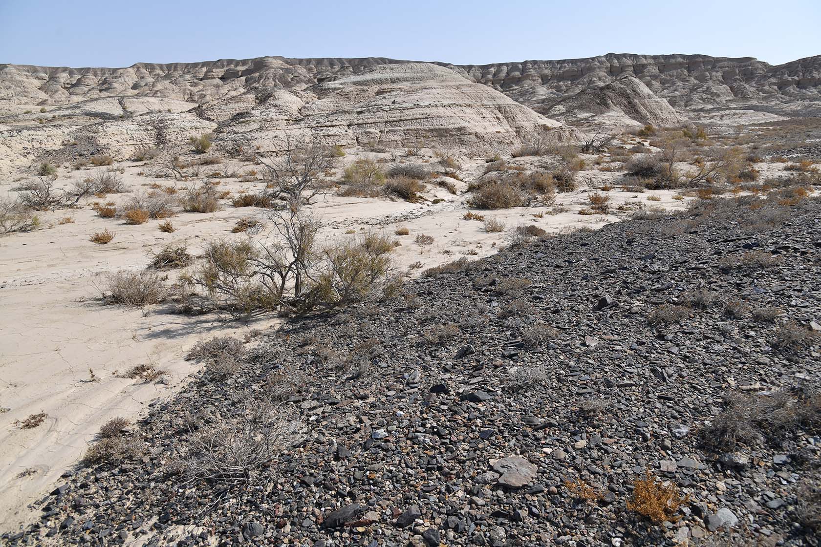 Горы Улькен-Богуты, image of landscape/habitat.