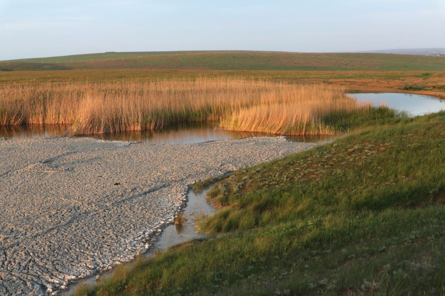 Карабетова сопка, image of landscape/habitat.