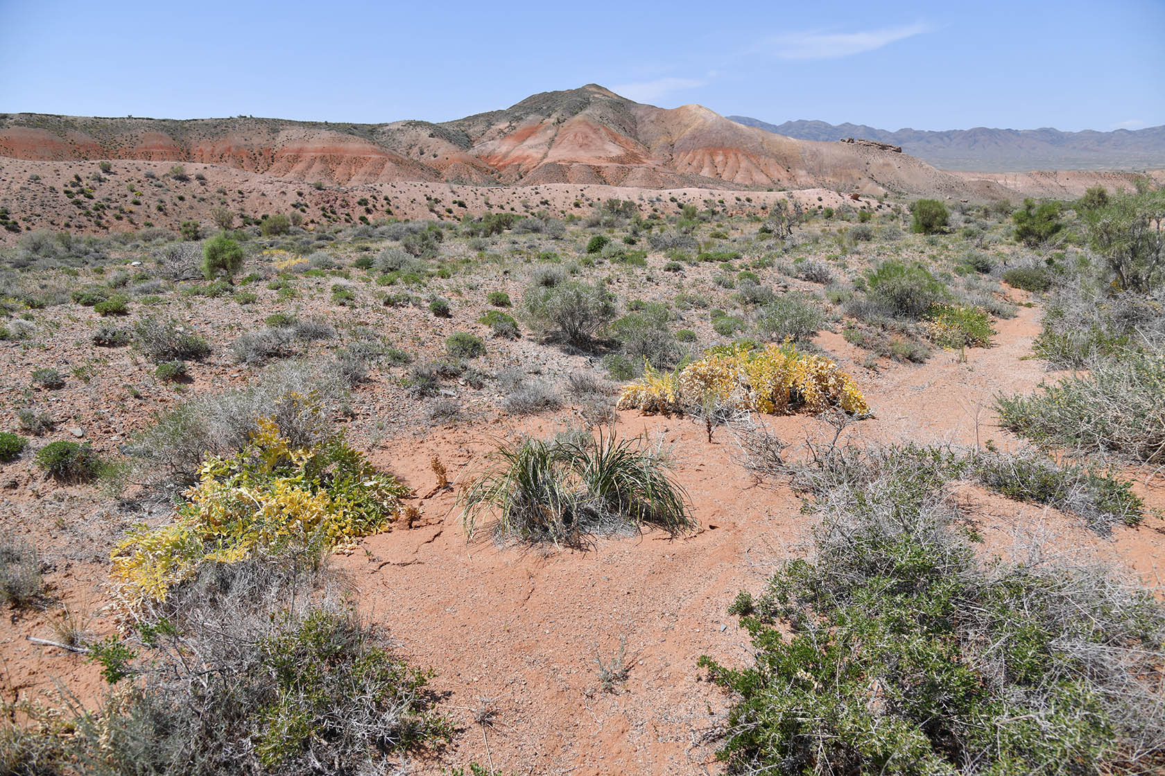 Горы Улькен-Богуты, image of landscape/habitat.