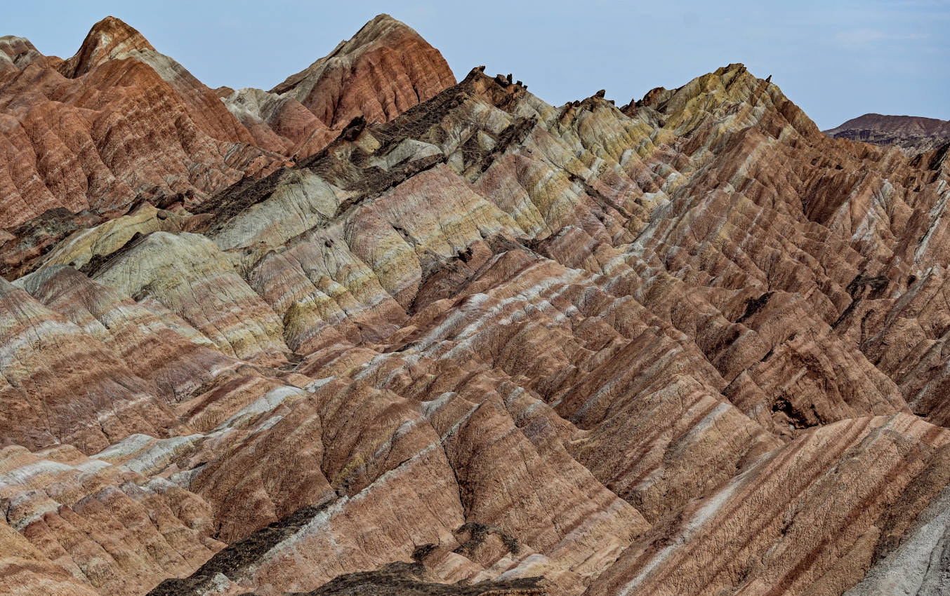Национальный парк "Данься", image of landscape/habitat.