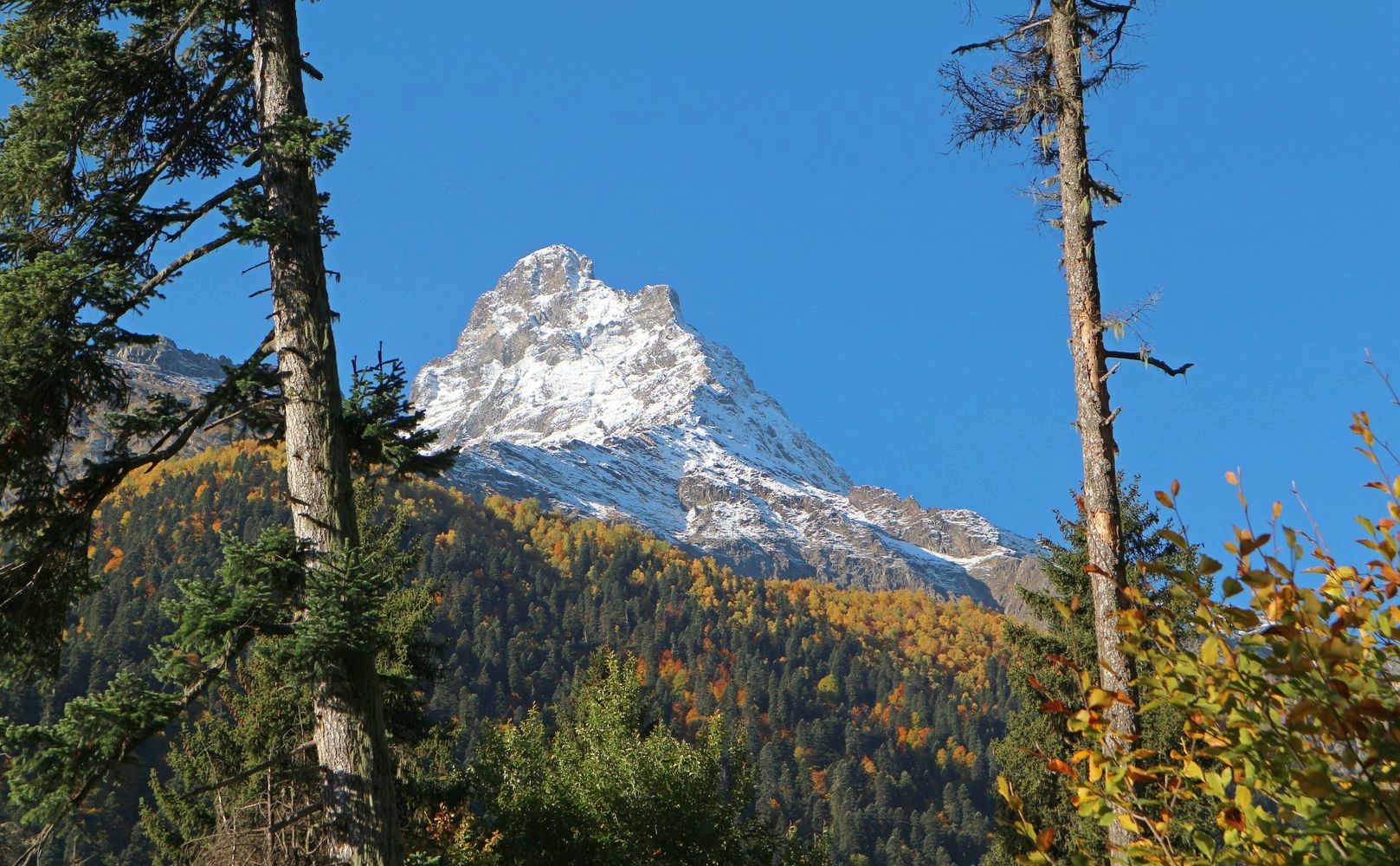 Алибек, image of landscape/habitat.