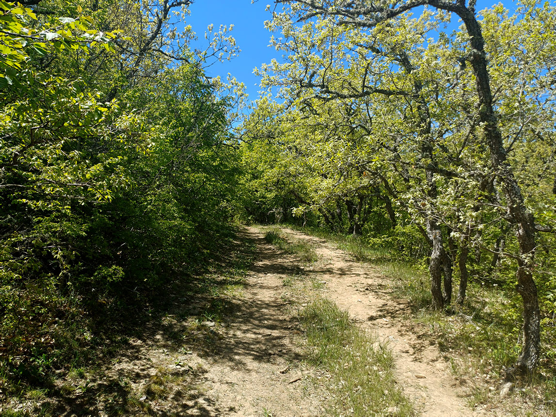Хребет Токлук-Сырт, image of landscape/habitat.