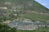 Урочище Тиреби, image of landscape/habitat.