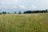 Image of landscape