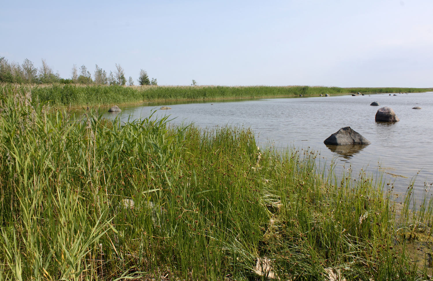 Курессааре, image of landscape/habitat.