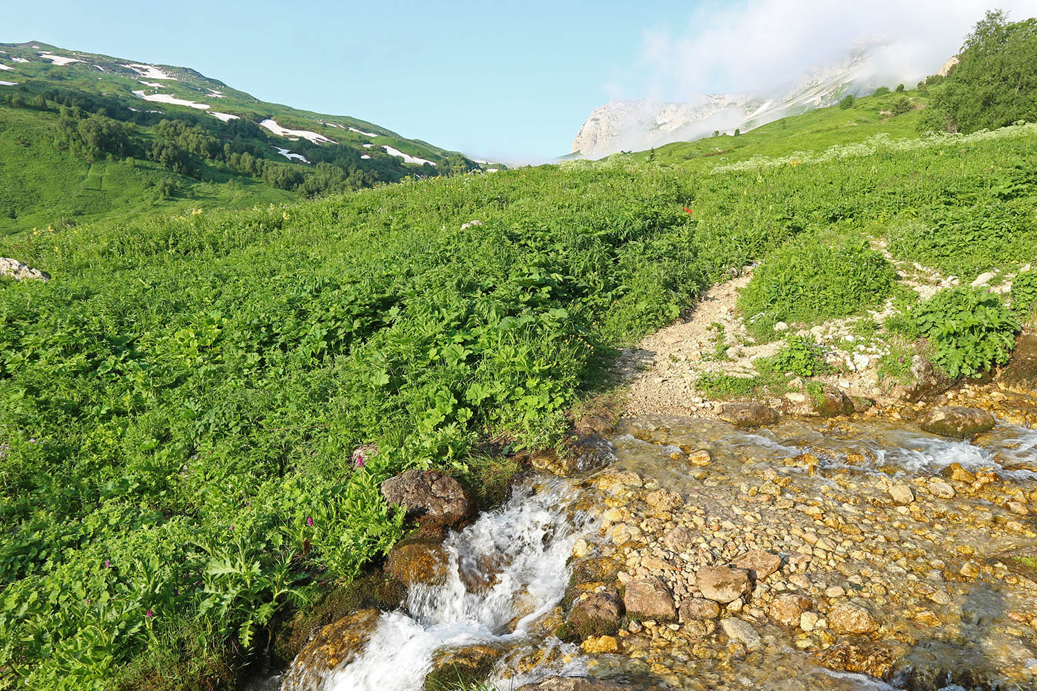 Ручей Гремячий и окрестности, изображение ландшафта.