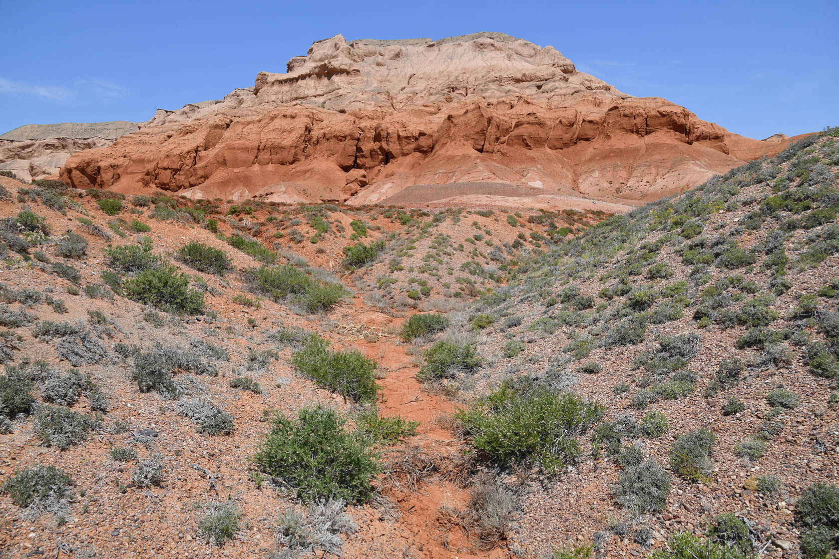 Горы Улькен-Богуты, image of landscape/habitat.