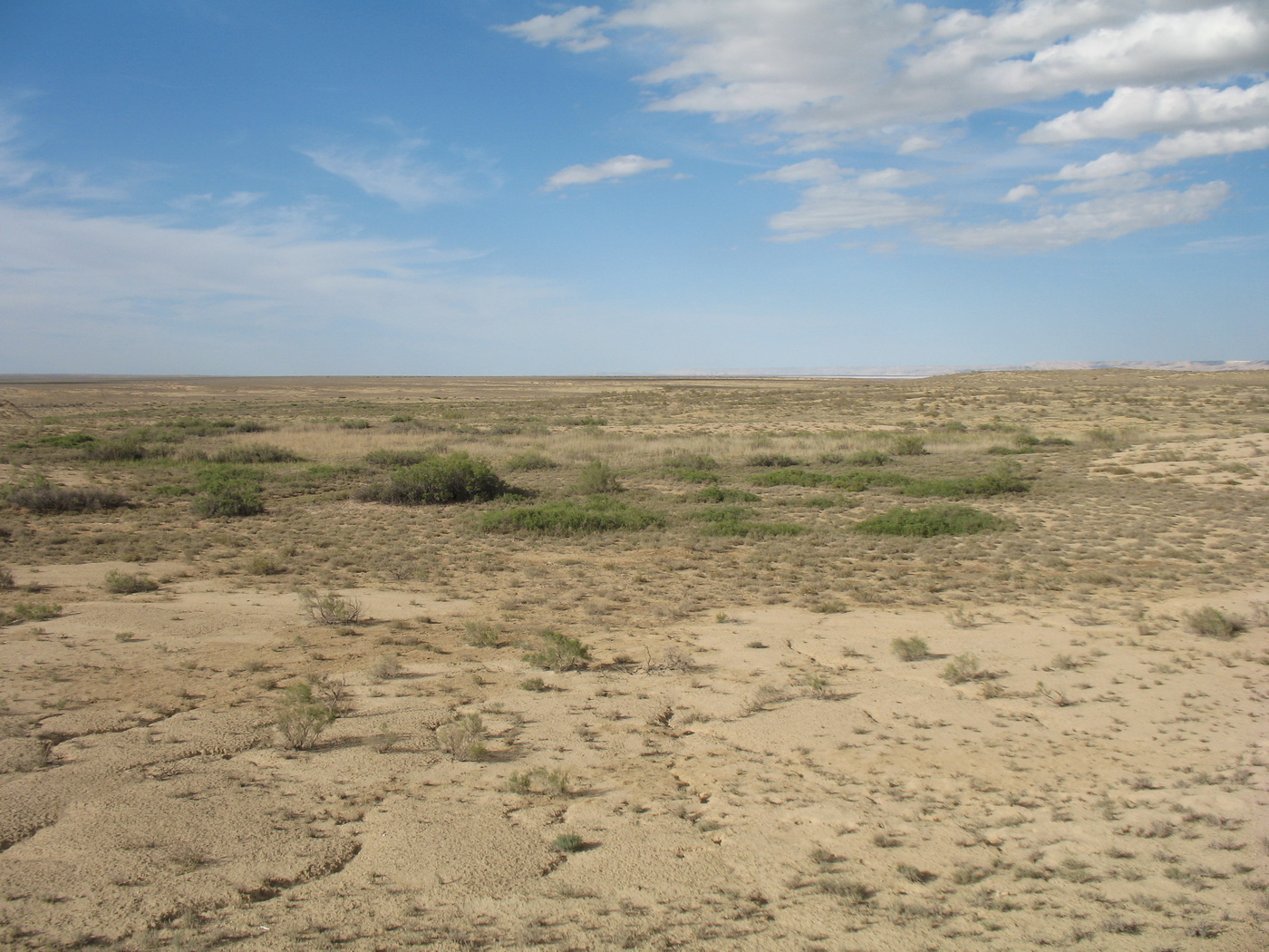 Онере, image of landscape/habitat.