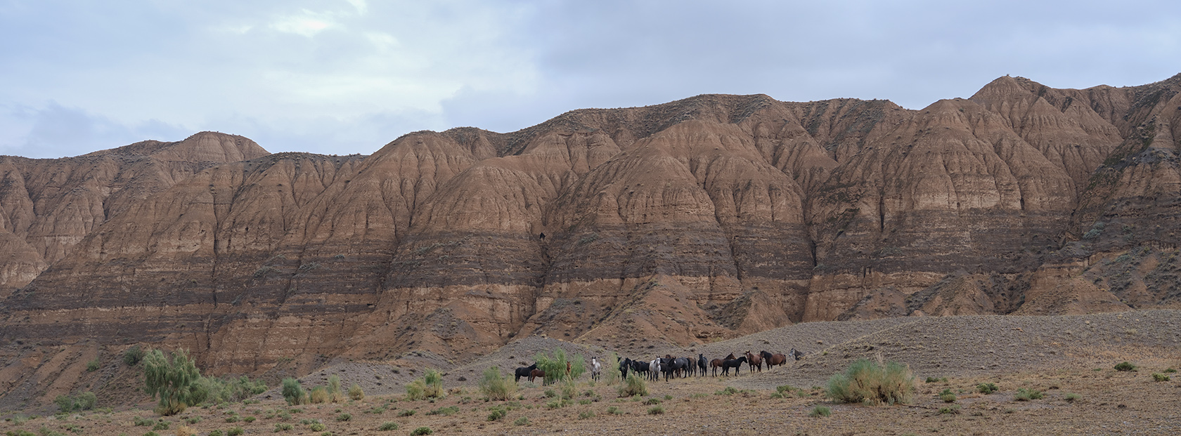 Чарын, image of landscape/habitat.
