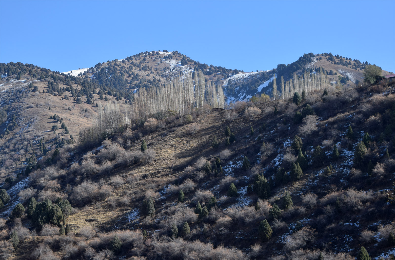 Окрестности города Янгиабад, image of landscape/habitat.