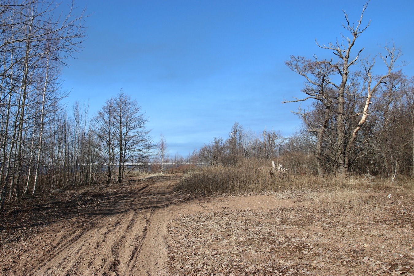 Каравалдай, image of landscape/habitat.