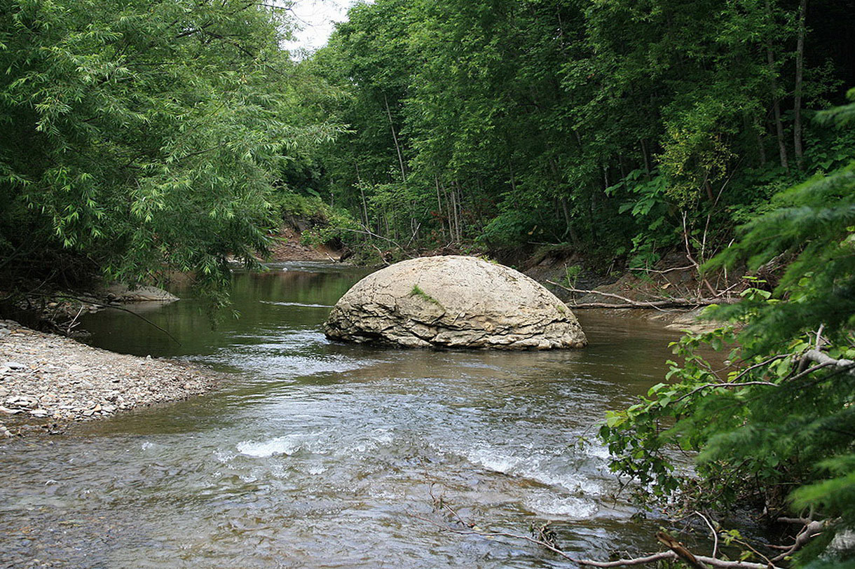 Холмск, image of landscape/habitat.