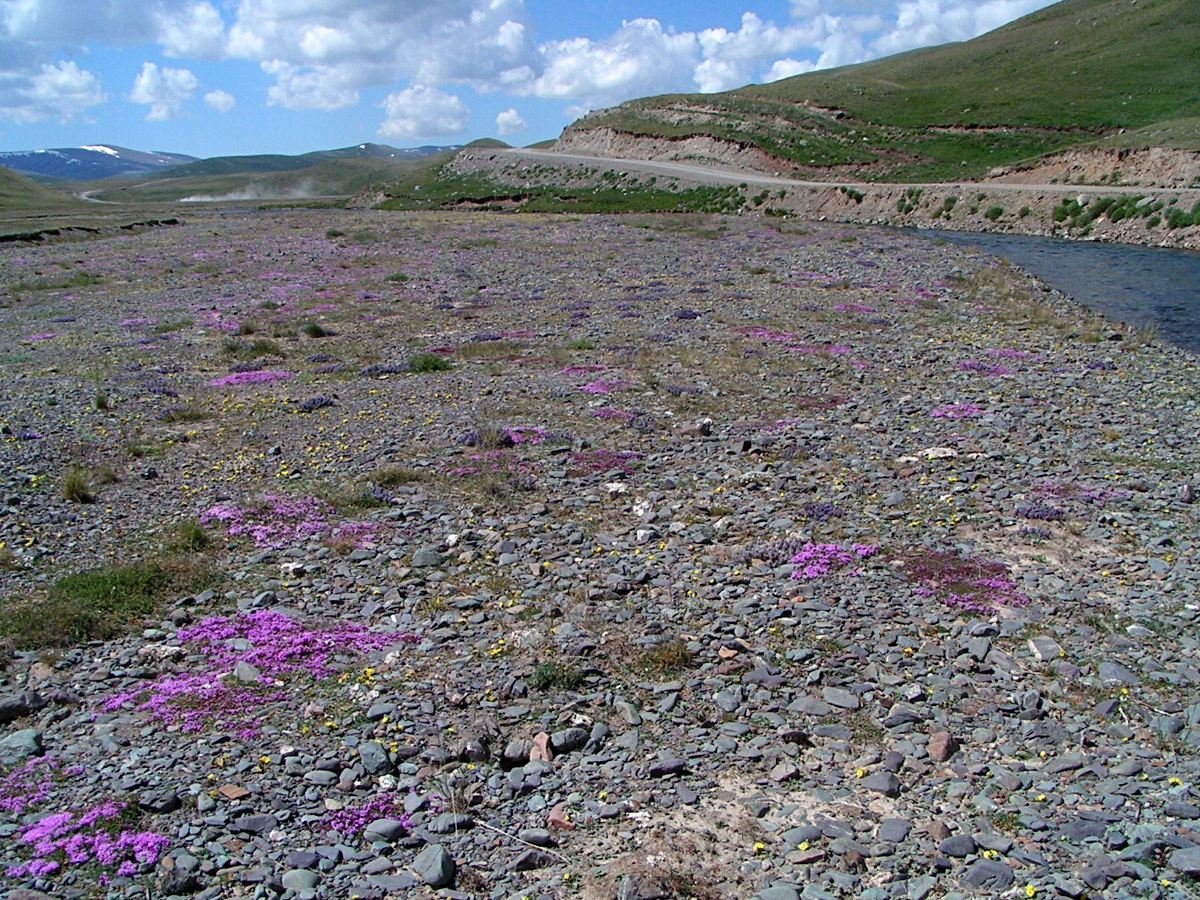 Долина р. Тархата, image of landscape/habitat.