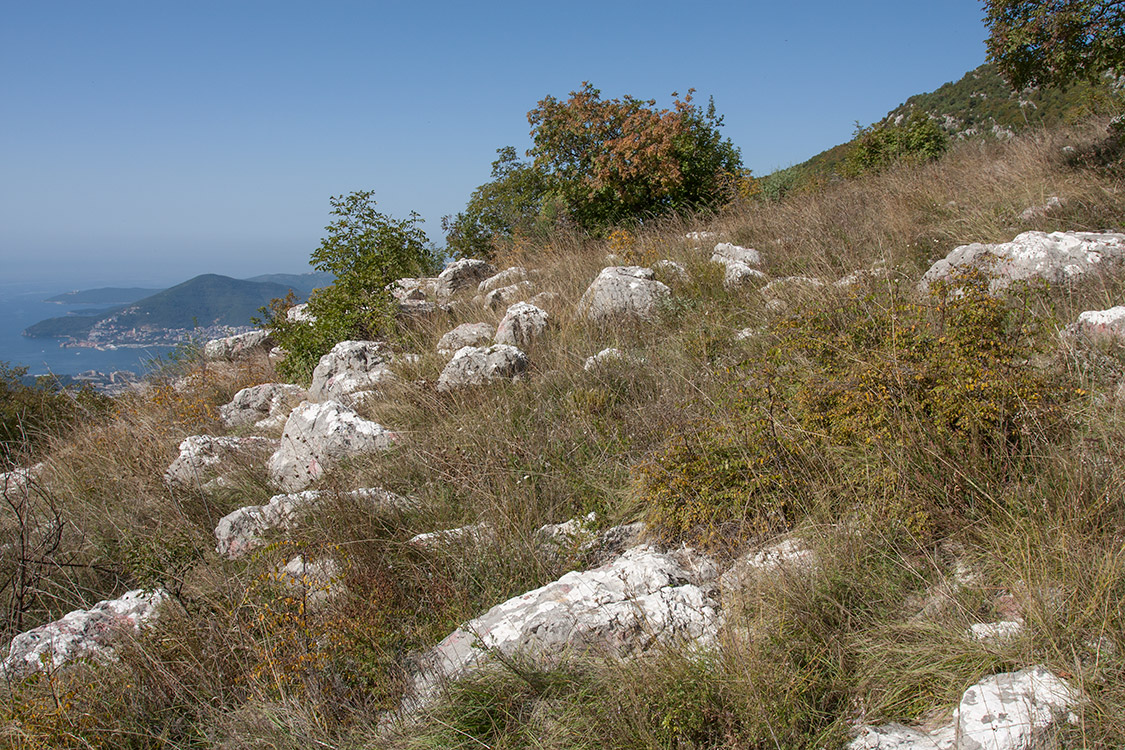 Кульяче и окрестности, image of landscape/habitat.