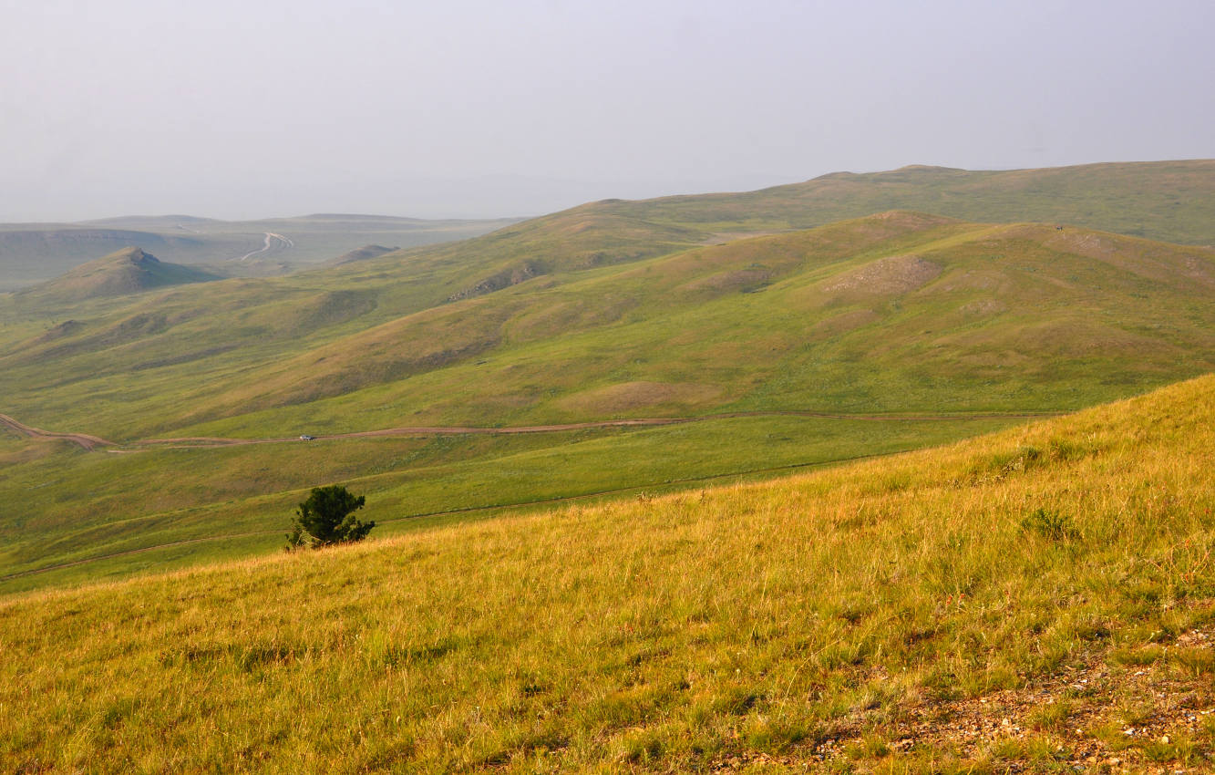 Озеро Шунет, image of landscape/habitat.