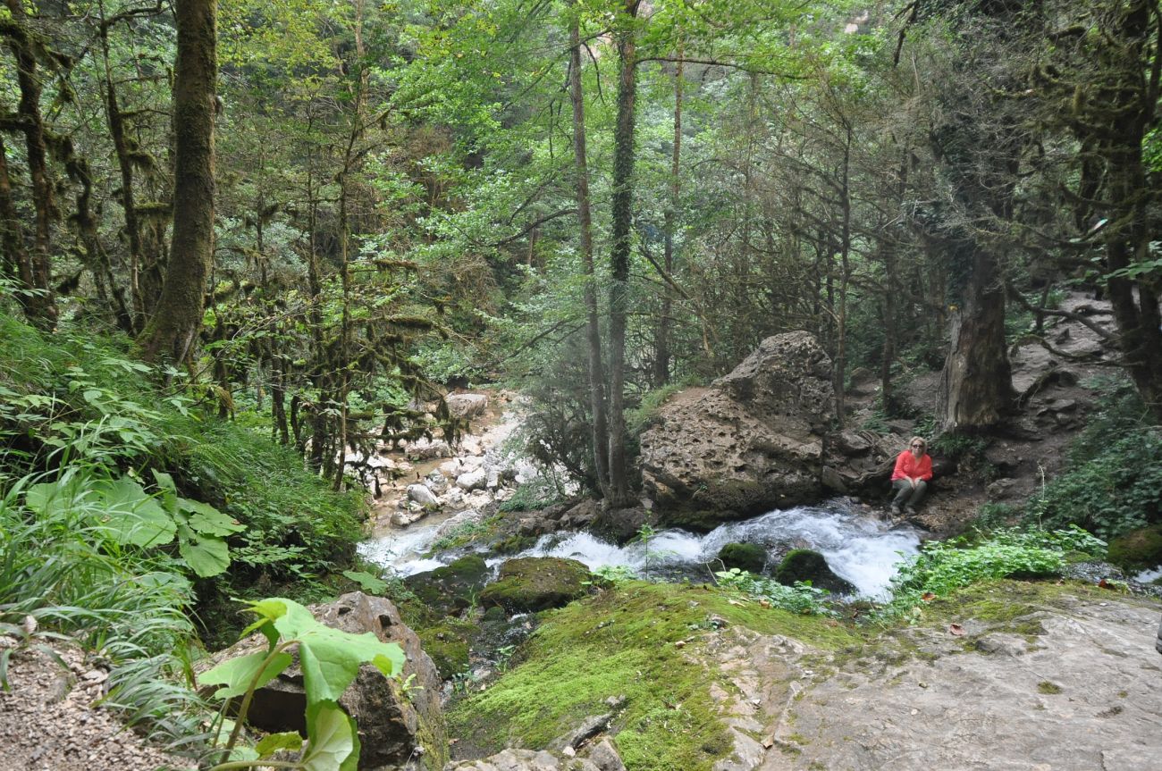 Курджипское ущелье, image of landscape/habitat.