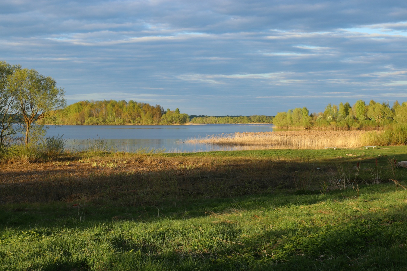 Езерище и окрестности, image of landscape/habitat.