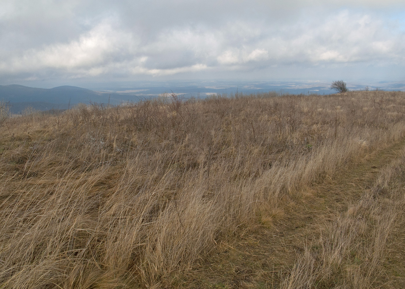 Топчиноватая, image of landscape/habitat.