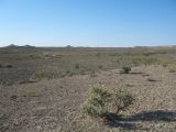 Image of landscape