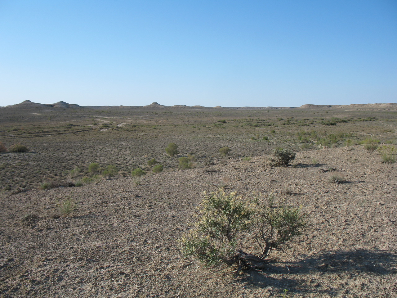 Онере, image of landscape/habitat.