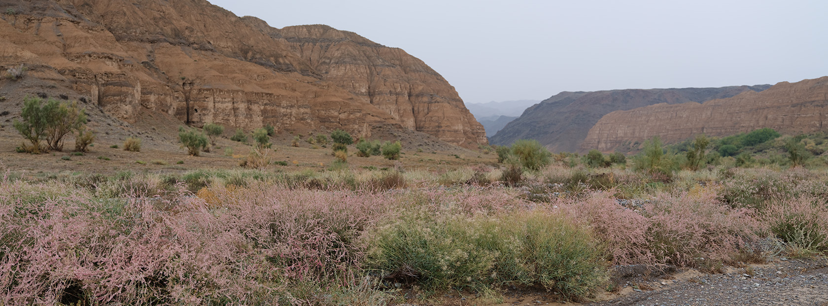 Чарын, image of landscape/habitat.