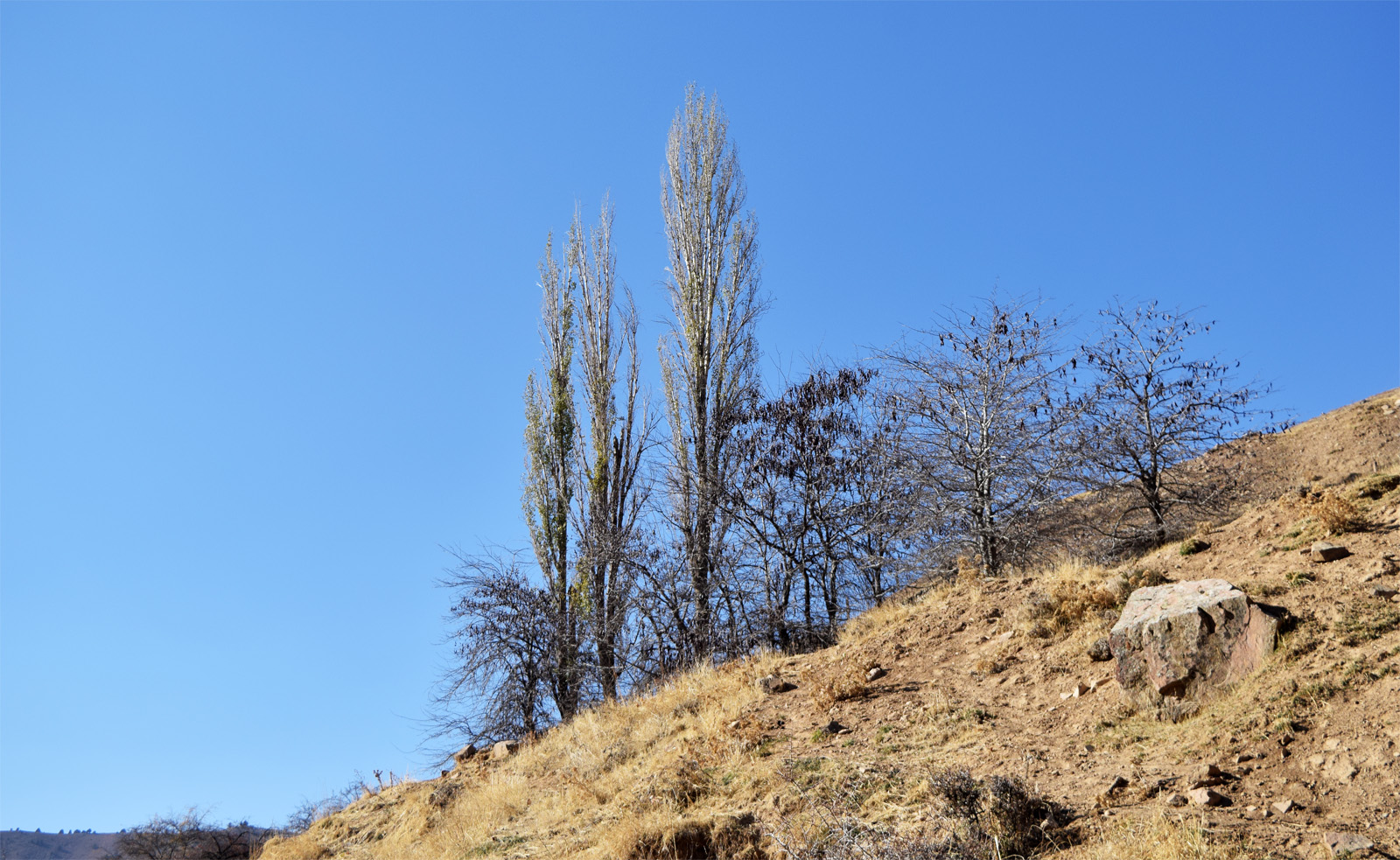 Окрестности города Янгиабад, image of landscape/habitat.