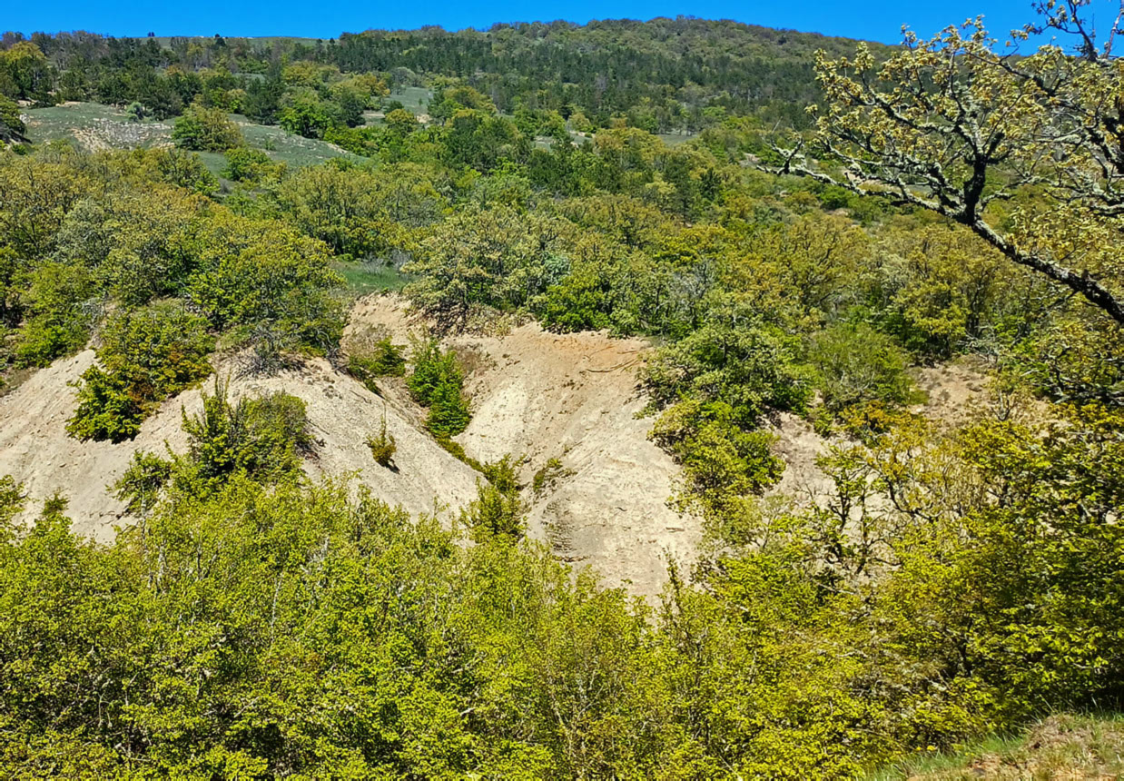 Хребет Токлук-Сырт, image of landscape/habitat.