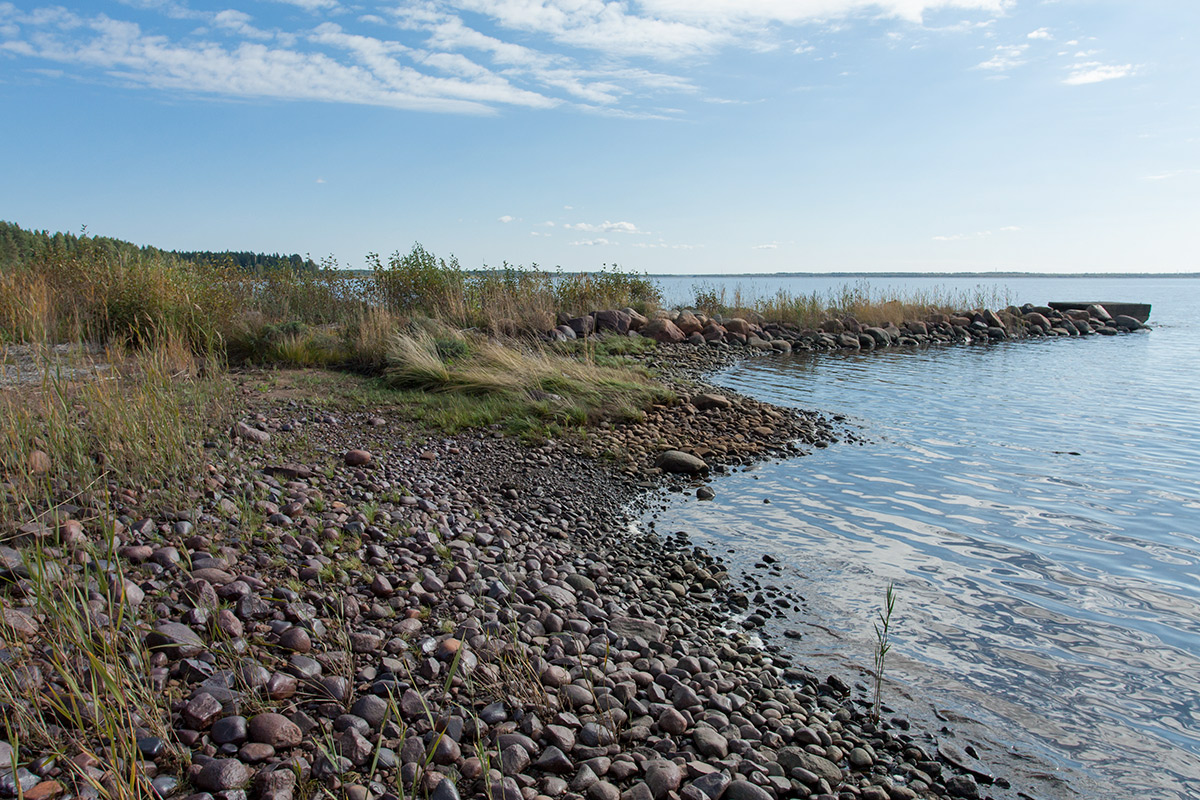 Вирпиниеми, image of landscape/habitat.