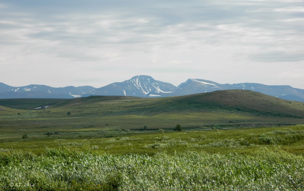 Левый Кечпель, image of landscape/habitat.