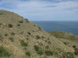 Image of landscape