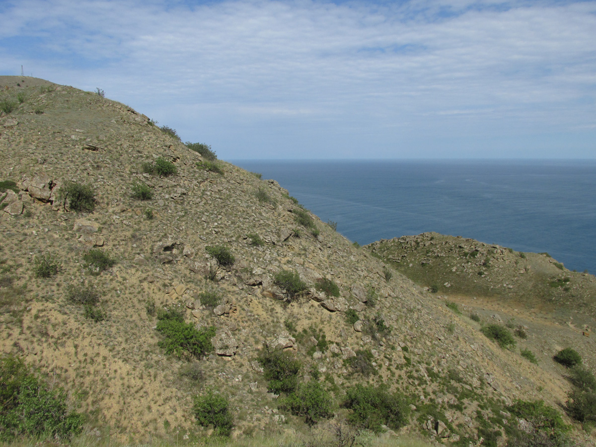 Меганом, image of landscape/habitat.