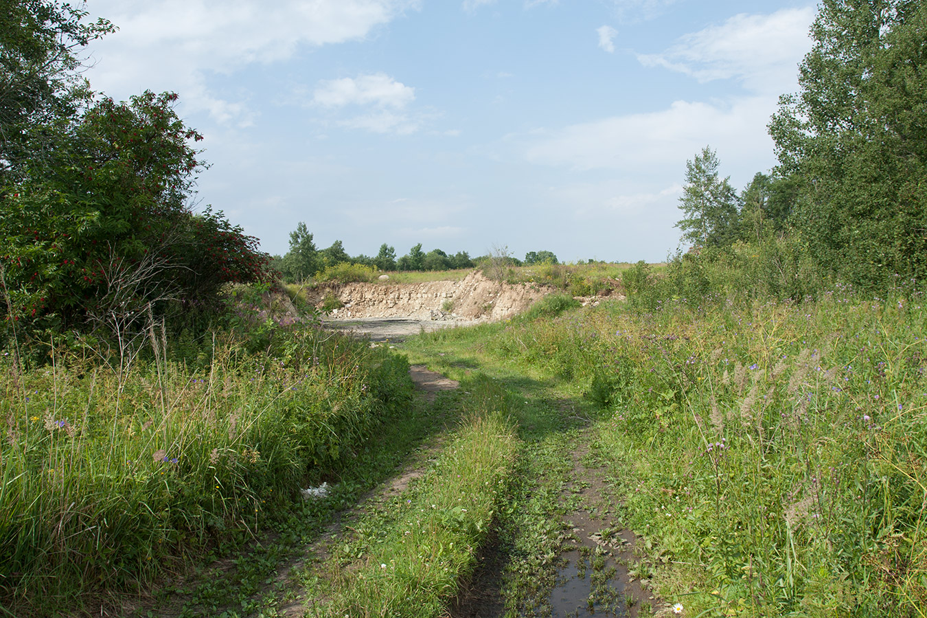 Окрестности Глядино, image of landscape/habitat.