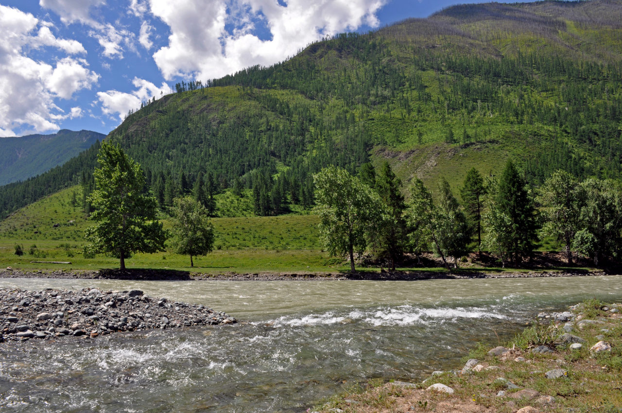 Устье реки Чибитка, image of landscape/habitat.