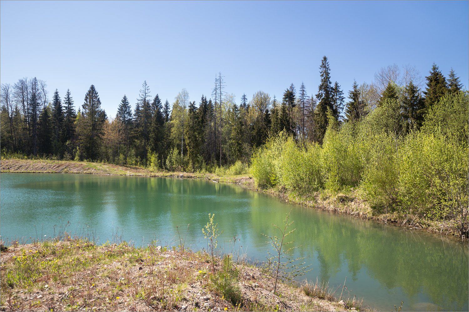 Карьер у деревни Петровское, image of landscape/habitat.