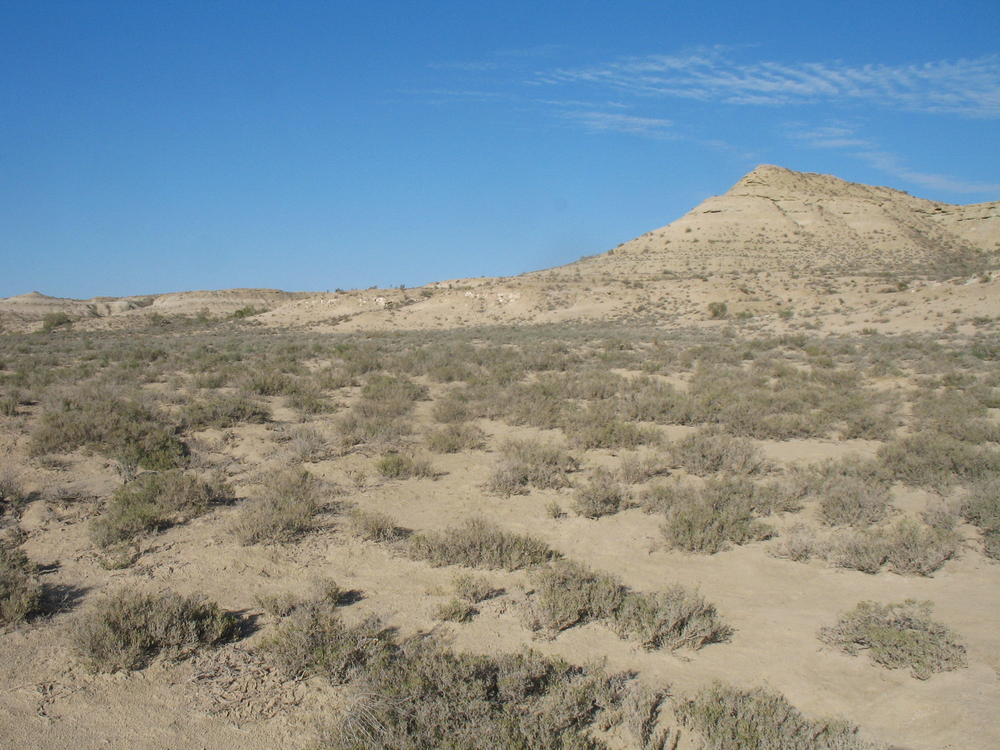 Онере, image of landscape/habitat.
