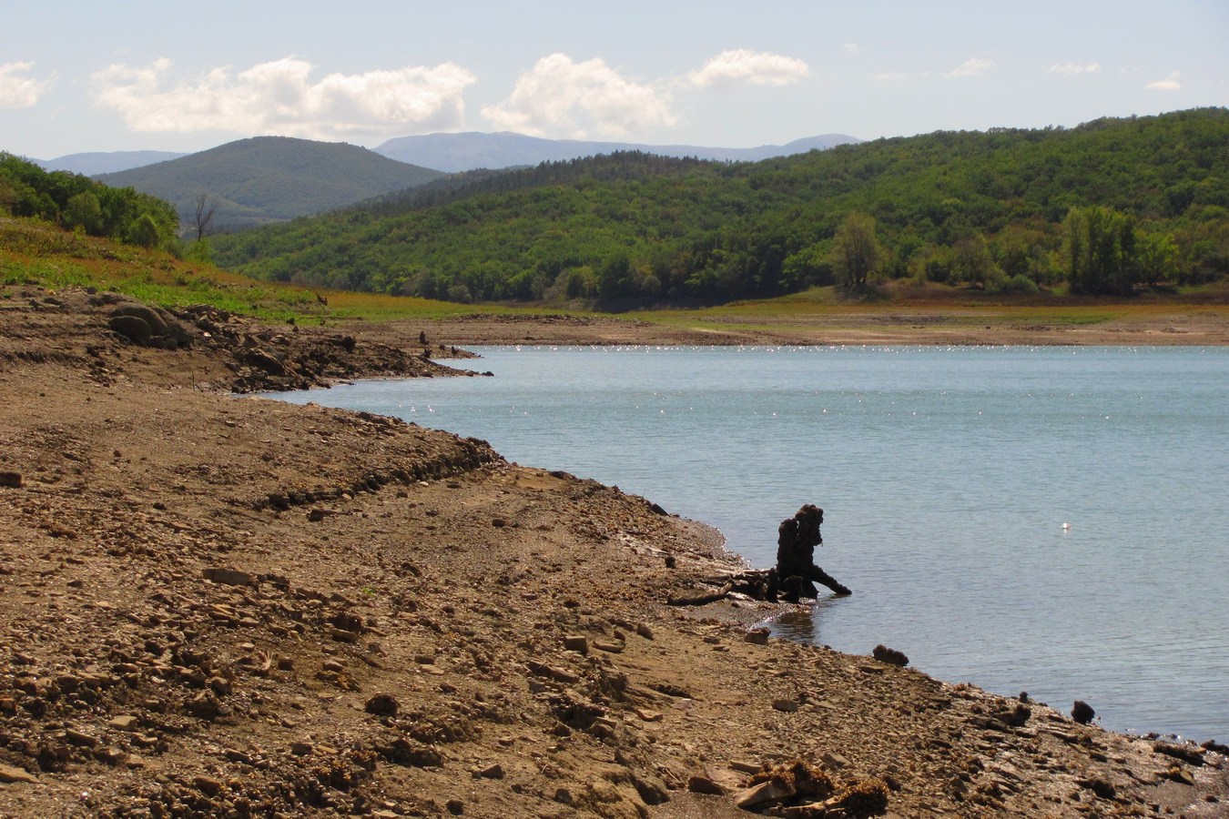 Партизанское водохранилище, image of landscape/habitat.