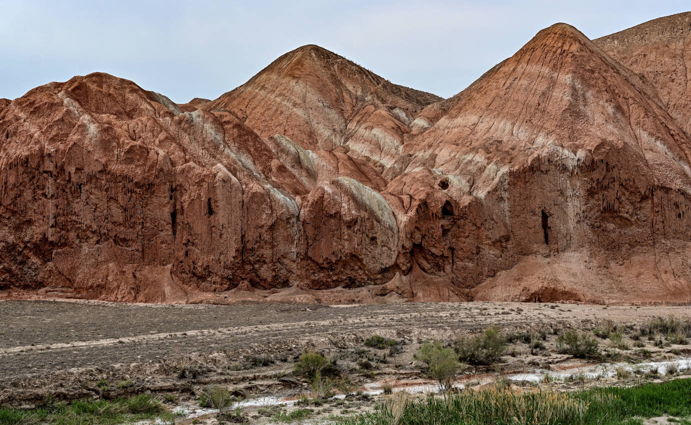 Национальный парк "Данься", image of landscape/habitat.