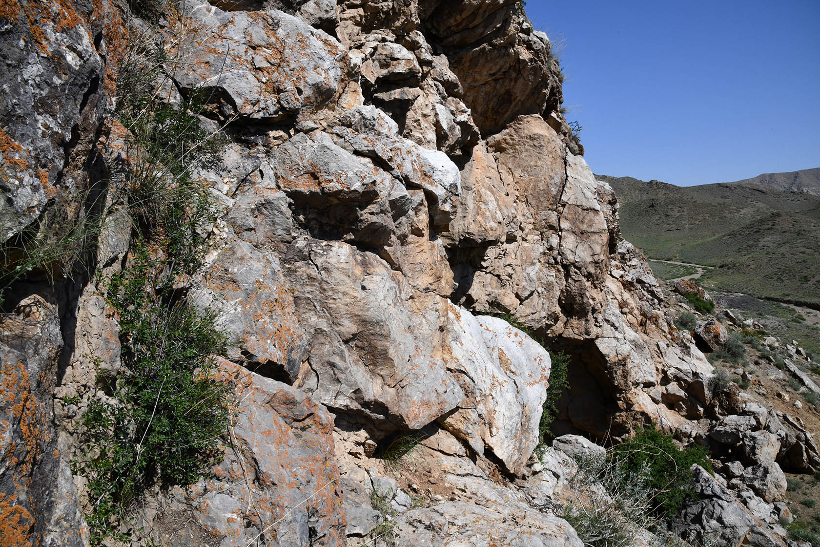 Кон-и-Гут, image of landscape/habitat.