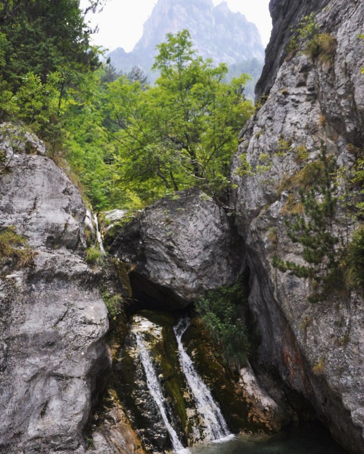 Олимп, image of landscape/habitat.