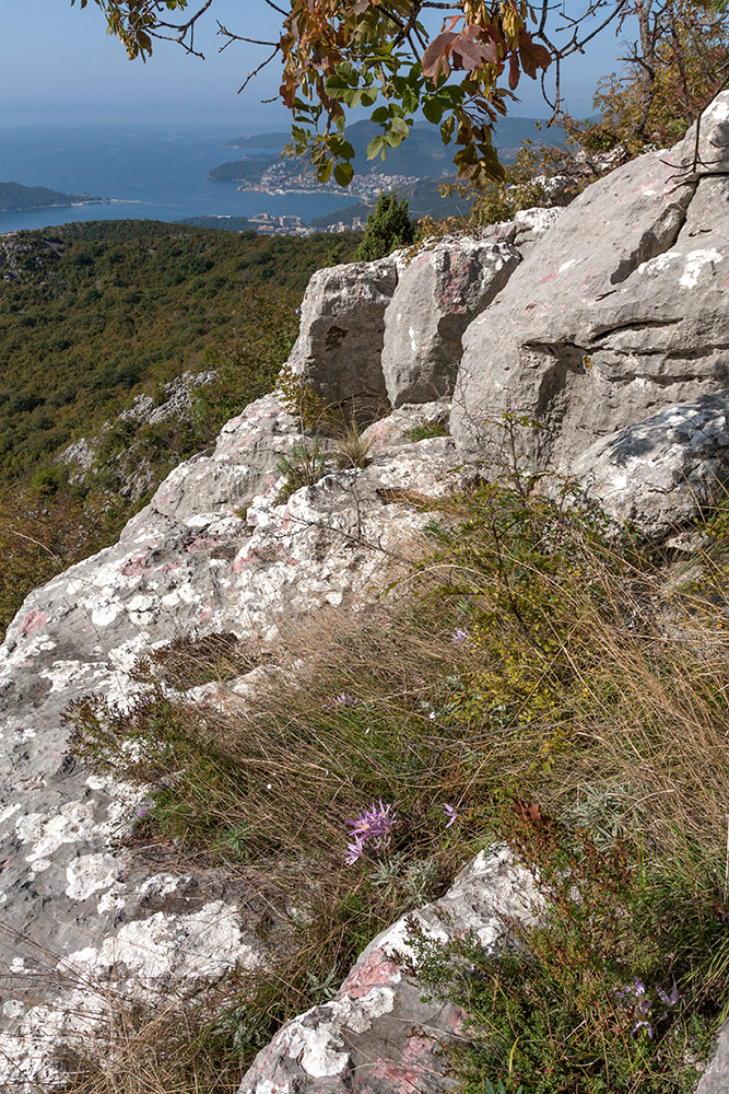 Кульяче и окрестности, image of landscape/habitat.