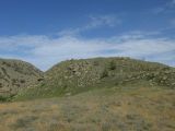 Image of landscape