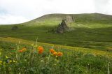 Image of landscape