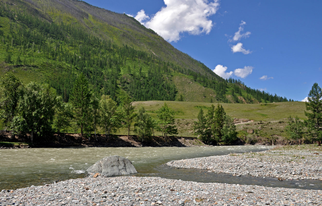 Устье реки Чибитка, image of landscape/habitat.