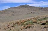 Image of landscape