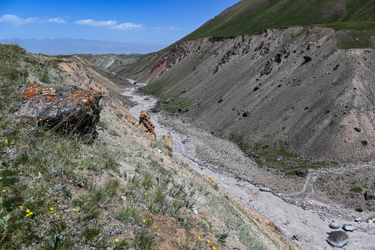 Долина реки Ачик-Таш, image of landscape/habitat.