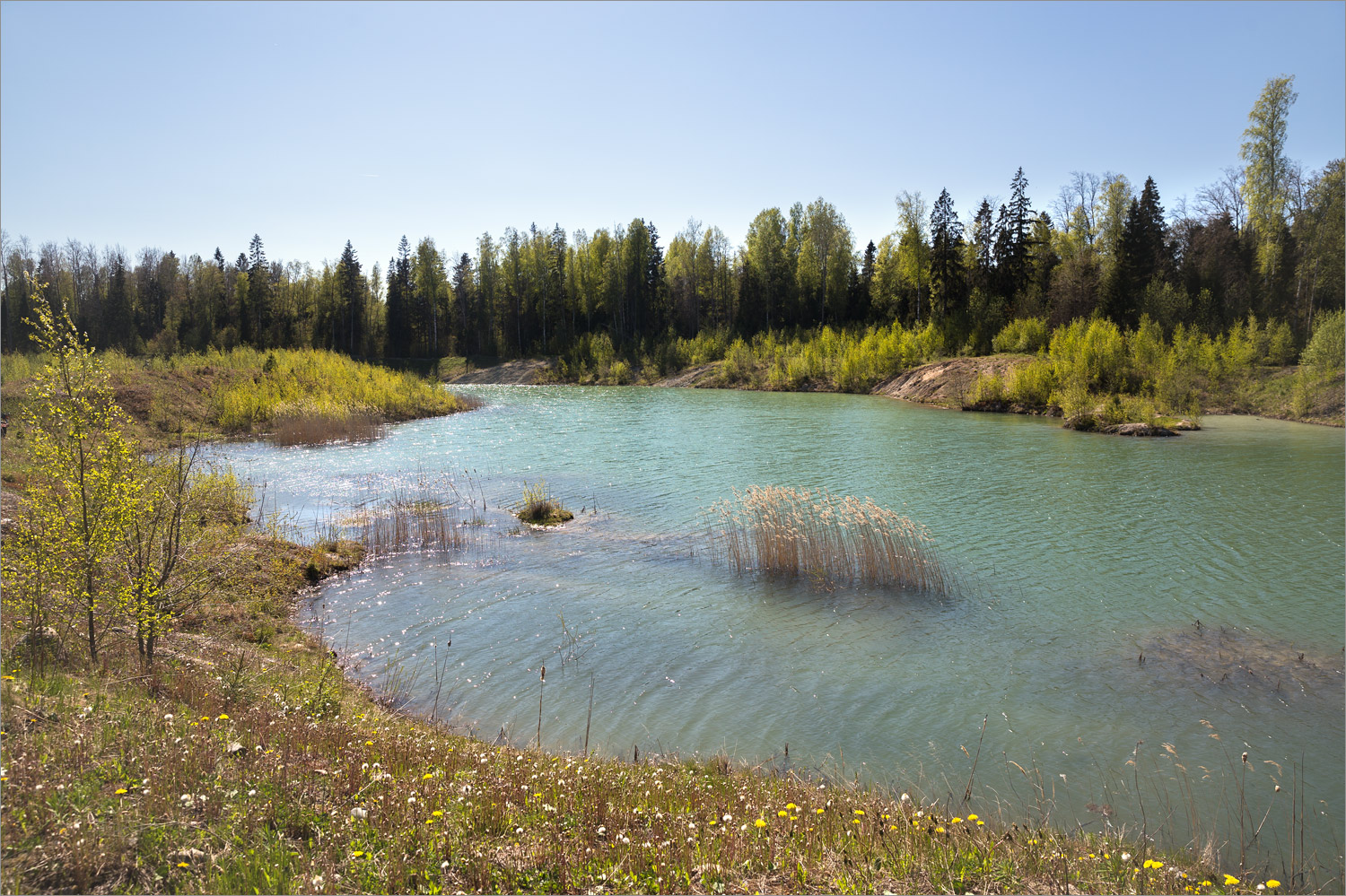 Карьер у деревни Петровское, image of landscape/habitat.